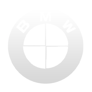bmw-injektoren