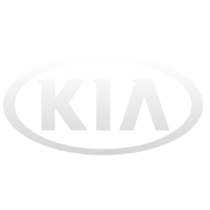kia-injektoren