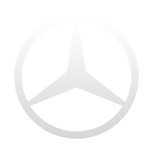 mercedes-injektoren