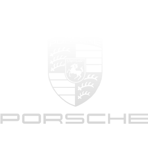 porsche-injektoren