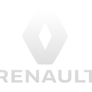renault-injektoren
