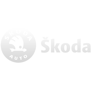 skoda-injektoren